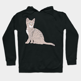 Graphic Cat Hoodie